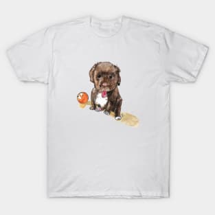 Nana is a spaniel T-Shirt